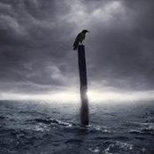 Renae Knowlton's photo