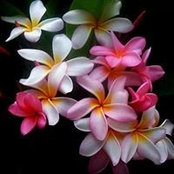 Carla Jones's photo