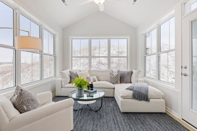 Transitional sunroom photo in Minneapolis with a standard ceiling