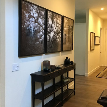 Art Display Solutions