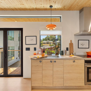Modern ADU w/ Art Gallery & Rooftop Deck- NextGen Home Builders in Highland Park