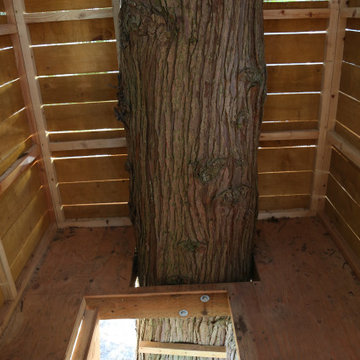 Custom Tree House