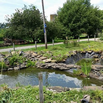 (Before Picture) Koi Pond and Stream in Westmoreland County, Latrobe area