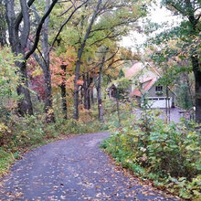 Fall Colors