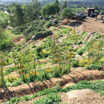 Casa Aguila Ramona Food Forest