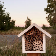Beehives