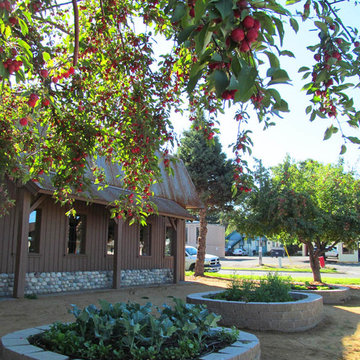 Montana Raised Vegetable Gardens