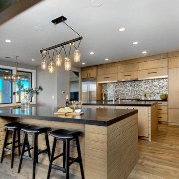 Modern Craftsmen in Almaden Valley
