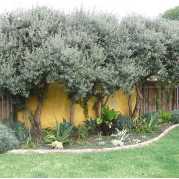 West Los Angeles Residence