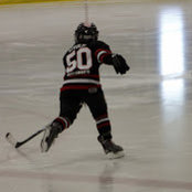 Julia Livolsi's photo