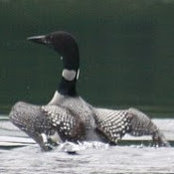 John Friedel's photo