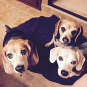 Foto de Amy Schmidtbauer
