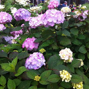 Barb's photo