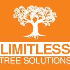 Limitless Tree Solutions