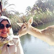 Rania El Afifi's photo