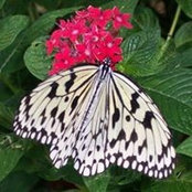Angela Allen's photo