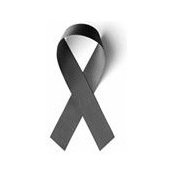 Borga Yurts billede
