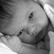 Liz Vergnault's photo
