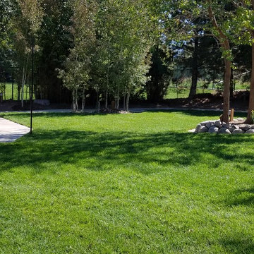 Landscaping Vineyard