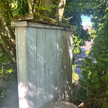 Exterior House Painting