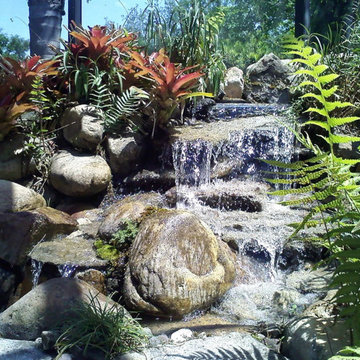 Florida Friendly Landscaping
