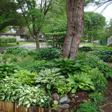 Small Garden Beds