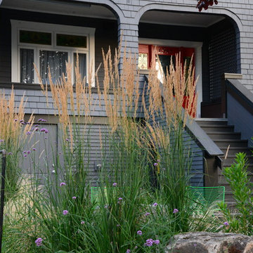 Garden Drive Front Yard