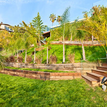 Terraced Slope