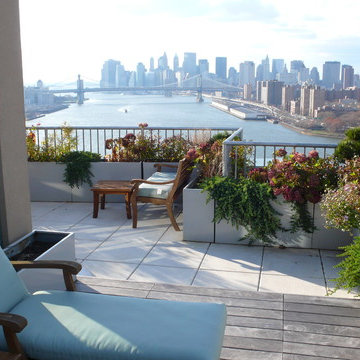 Urban rooftop oasis