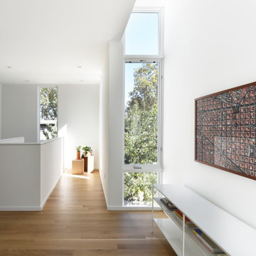 Mansion Flats Modern