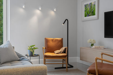 Design ideas for a living room in Dublin.