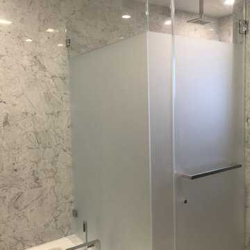 Frameless Glass Doors