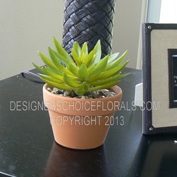 The New Greenery - Products