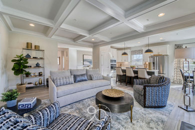 Living room - transitional living room idea in DC Metro