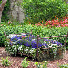 Landscape Ideas