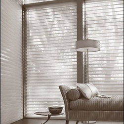 Hunter Douglas Products offered by Blind Ambition Companies - Products