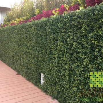 Ranka Lasting Greenery