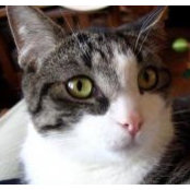 Photo de Gin Os