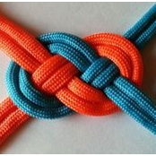 Best Knot's photo