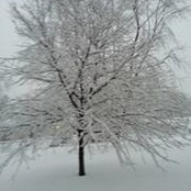 Cindy Heiser Smith's photo