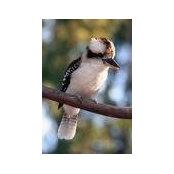 Margaret Kavanagh's photo