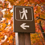 Vinson M.'s photo