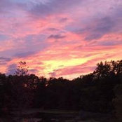 Dorothea Bruzek's photo