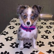Jessica Buck's photo