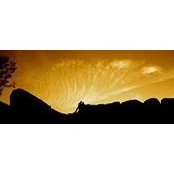 Alberto Costa's photo