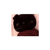 Ann Tang's photo