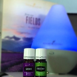Diffusing Essential Oil for Stress Relief - Lifestyle And Leisure
