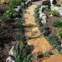 pathways