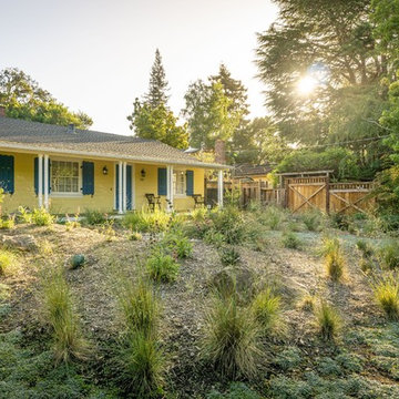 Menlo Park Xeriscape