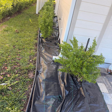 Landscape Renovation with Fresh Stone Beds and Mulch Details